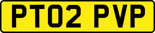 PT02PVP