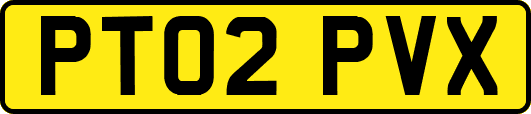 PT02PVX