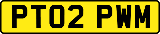 PT02PWM