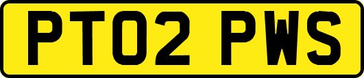 PT02PWS