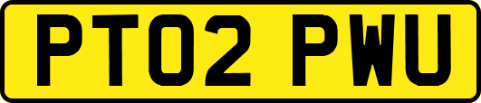 PT02PWU