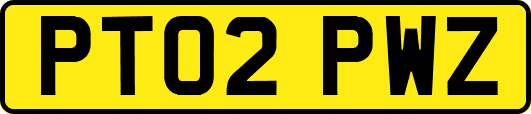 PT02PWZ