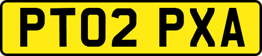 PT02PXA
