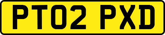 PT02PXD