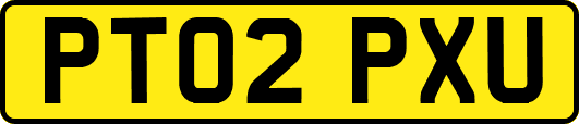 PT02PXU