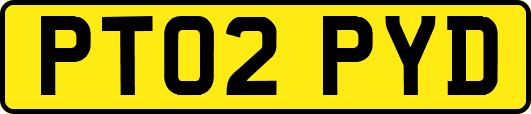 PT02PYD