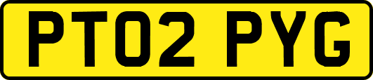 PT02PYG