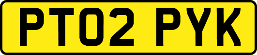 PT02PYK