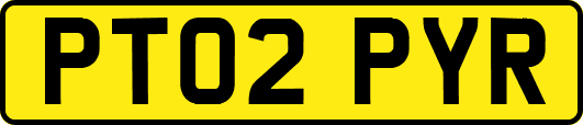 PT02PYR