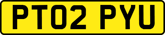PT02PYU