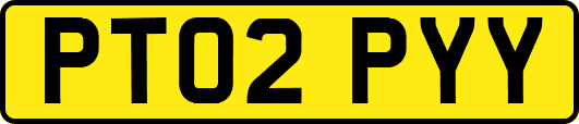 PT02PYY