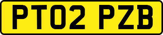 PT02PZB