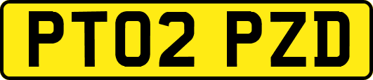 PT02PZD