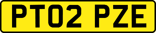 PT02PZE