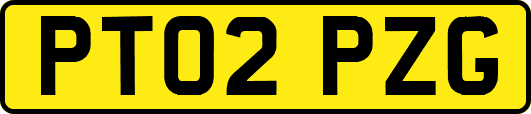 PT02PZG