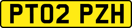 PT02PZH