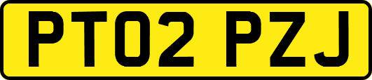 PT02PZJ