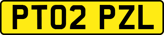 PT02PZL