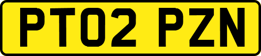 PT02PZN