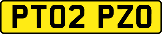 PT02PZO