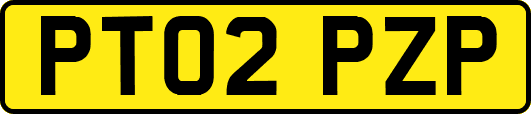 PT02PZP
