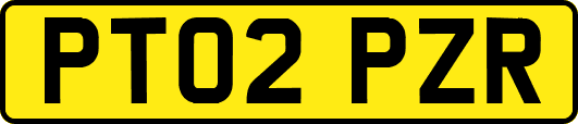 PT02PZR