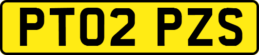 PT02PZS