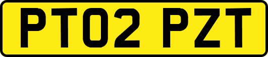 PT02PZT
