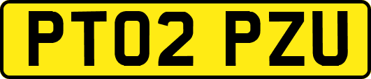 PT02PZU