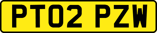 PT02PZW