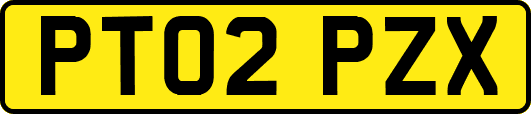 PT02PZX
