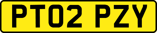 PT02PZY