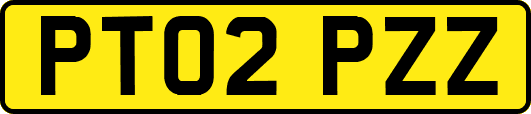 PT02PZZ