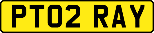 PT02RAY