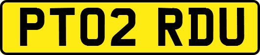 PT02RDU