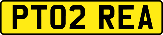 PT02REA