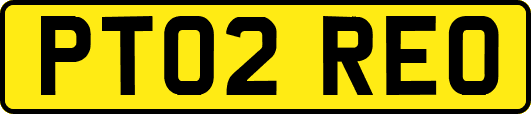PT02REO