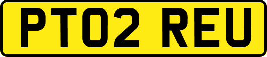 PT02REU