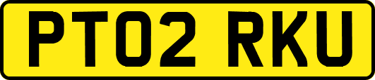 PT02RKU