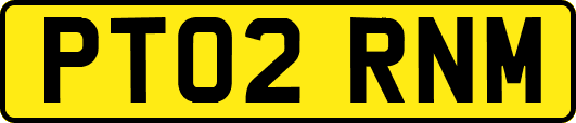 PT02RNM