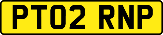 PT02RNP