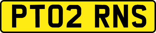 PT02RNS