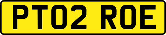 PT02ROE