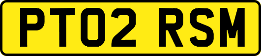 PT02RSM