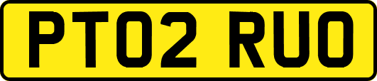 PT02RUO