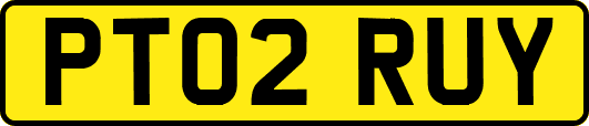 PT02RUY