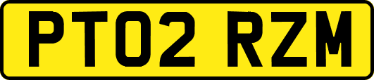 PT02RZM
