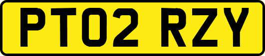 PT02RZY