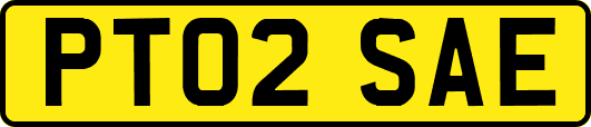 PT02SAE