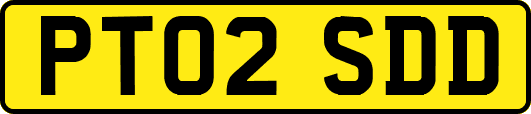 PT02SDD